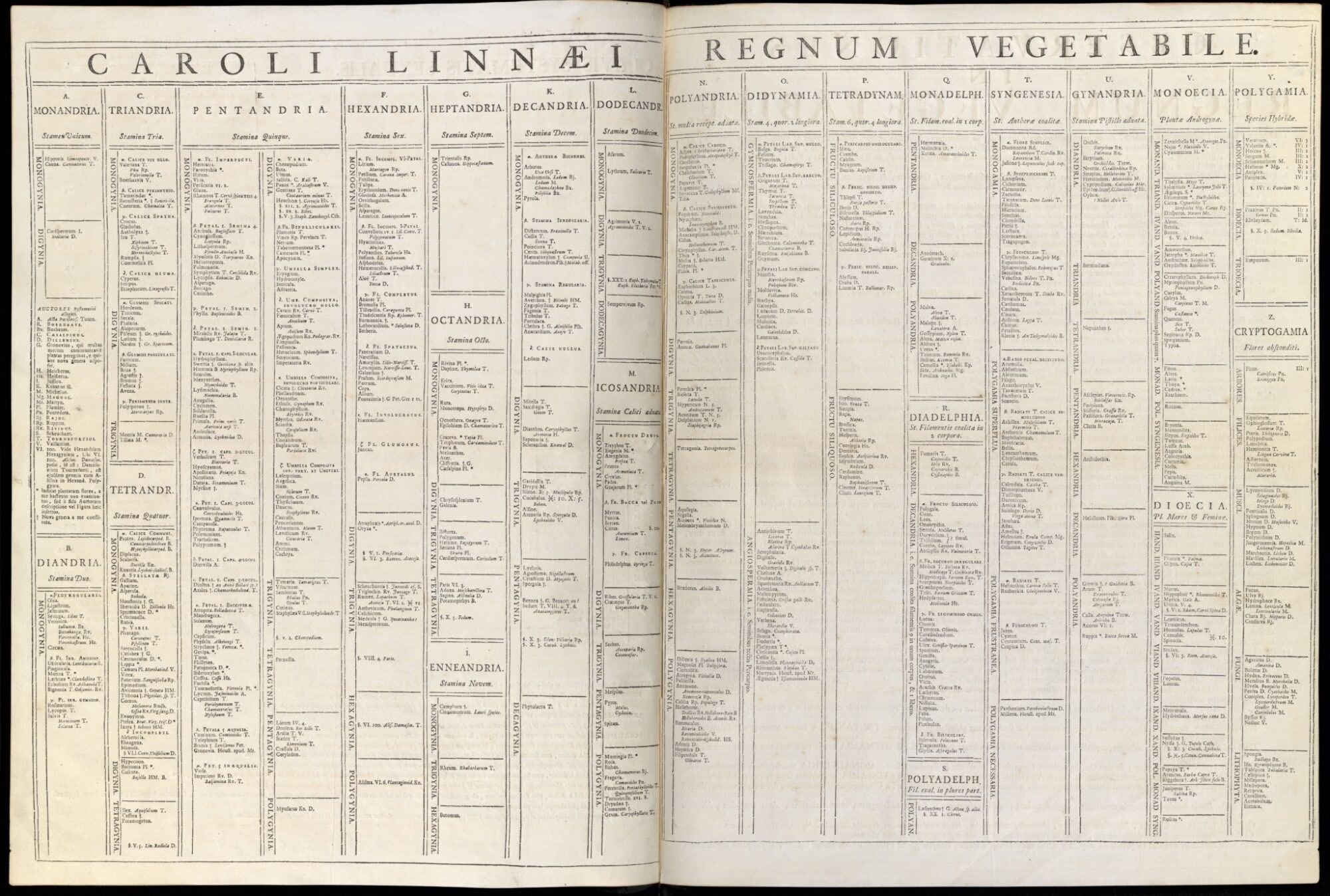 Linnaeus's Regnum Vegetabile table, organizing plant classes and genera into a hierarchy